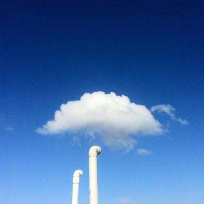 今天买什么特马手机app下载